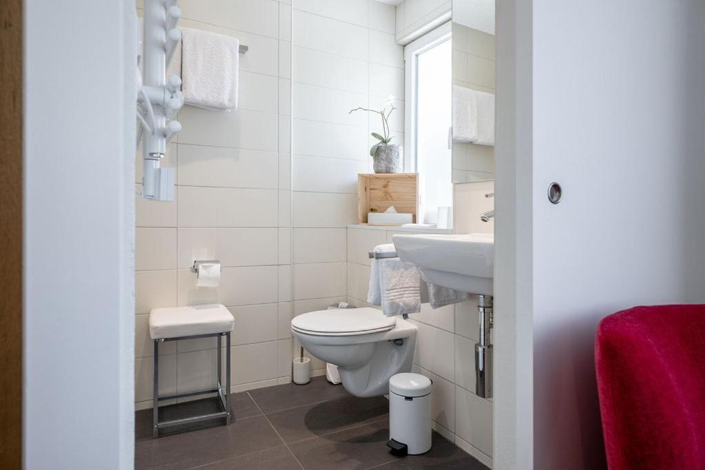 Hotel Zur Traube Brigerbad Εξωτερικό φωτογραφία